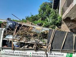  Palmetto, FL Junk Removal Pros